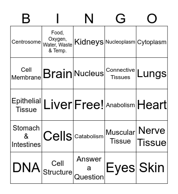 Chapter 6 Anatomy- Cells ,Tissues & Organs Bingo Card