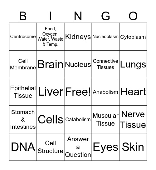 Chapter 6 Anatomy- Cells ,Tissues & Organs Bingo Card