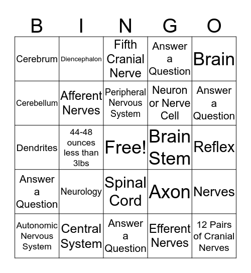 Chapter 6 Anatomy- Nervous System, Brain & Nerves Bingo Card