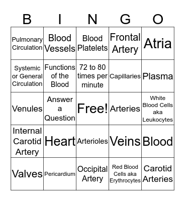 Chapter 6 Anatomy- Circulatory System,Blood & Arteries Bingo Card
