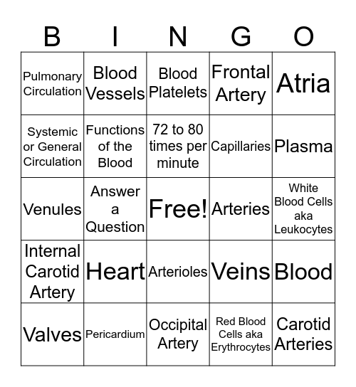 Chapter 6 Anatomy- Circulatory System,Blood & Arteries Bingo Card