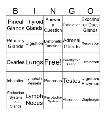 Chapter 6 Anatomy- Lymphatic/Immune System, Digestive System & Respiratory Bingo Card