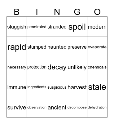 Term 3/Set 3 Bingo Card