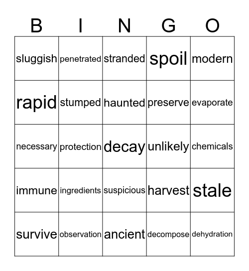 Term 3/Set 3 Bingo Card