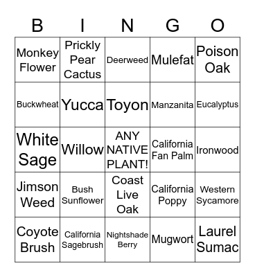 Native Plants Bingo Card