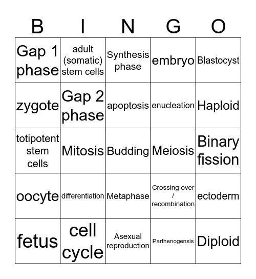 Unit 2 AOS1 Biology Bingo Card