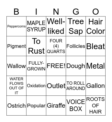3rd Grade MCA Bingo Card
