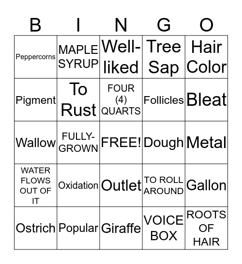3rd Grade MCA Bingo Card