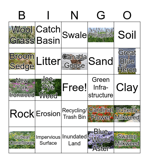 Magazine Park Bingo Card