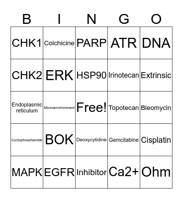 Simona's Thesis Defense Bingo Card
