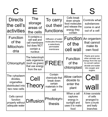 Term 3 Test 1 Review BINGO Card