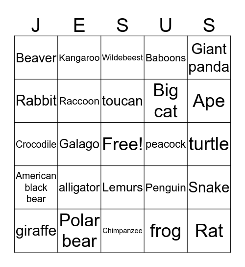 In the Wild Bingo Card