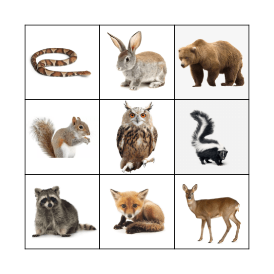 Forest Animals BINGO Card