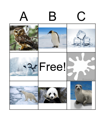 Animal Bingo Card
