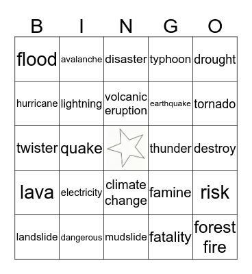 Natural Disasters Bingo Card