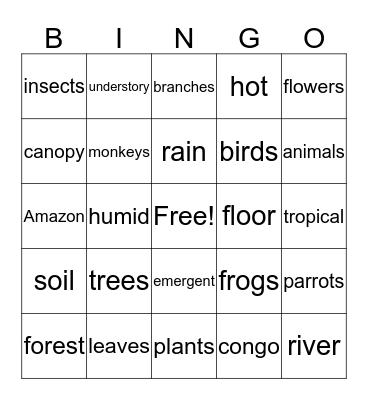 RAINFOREST Bingo Card