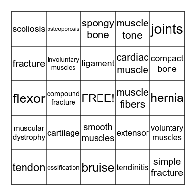 Skeletal/Muscular System Bingo Card
