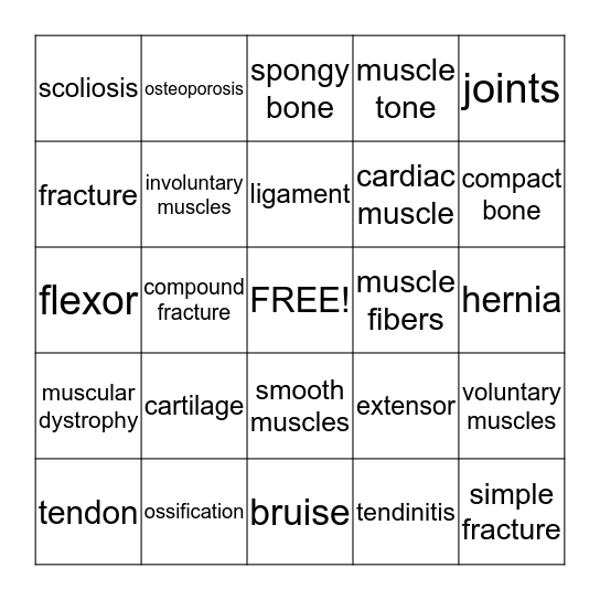 Skeletal/Muscular System Bingo Card