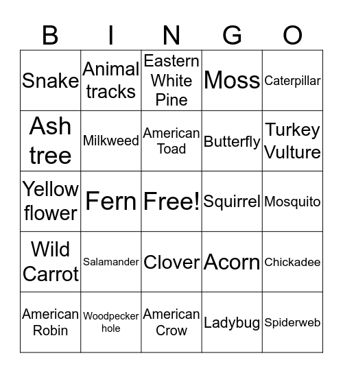 BioBlitz Bingo Card