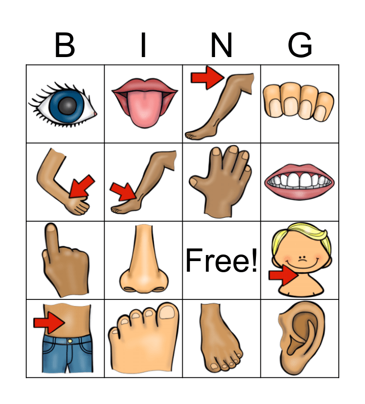 free-body-parts-flashcards-printables-bingo-sheets-for-kids-androidsno