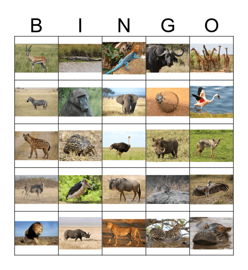 Savannah Bingo Card