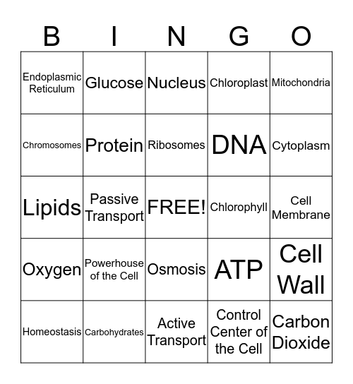 Cell Function and Organelles Bingo Card