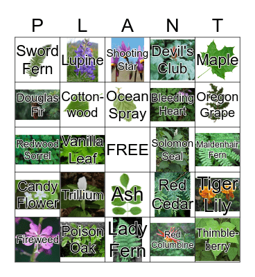 Plant Bingo Card