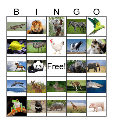 动物 - ANIMALS Bingo Card