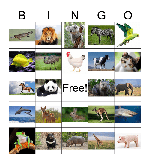 动物 - ANIMALS Bingo Card
