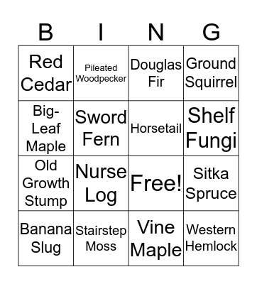 Forest Bingo Card