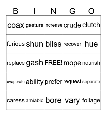 Vocabulary words Bingo Card