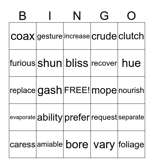 Vocabulary words Bingo Card