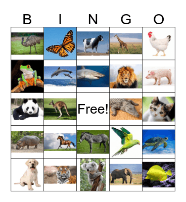 动物 - ANIMALS Bingo Card