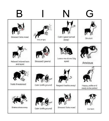 DOG BODY LANGUAGE/CALMING SIGNALS Bingo Card