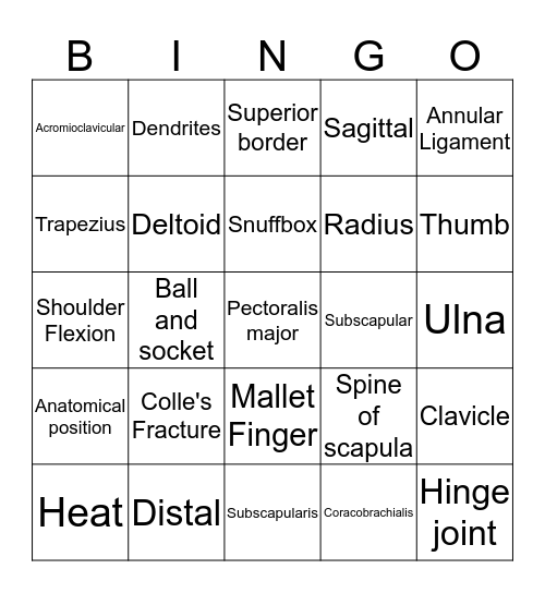 Kinesiology Bingo Card