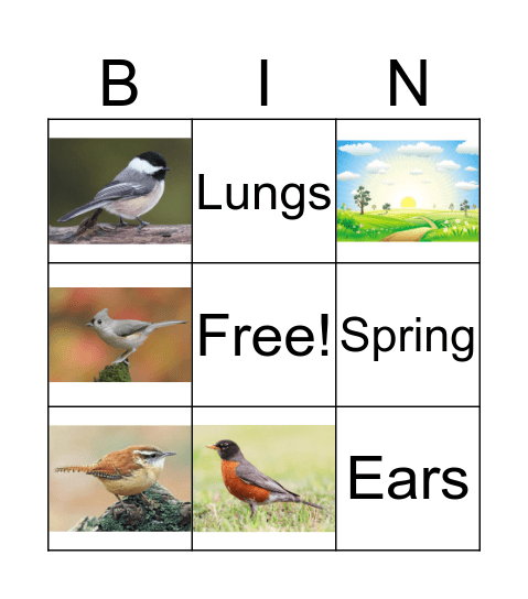 Bird Song Bingo Card