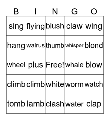 Phonics 2 Bingo Card