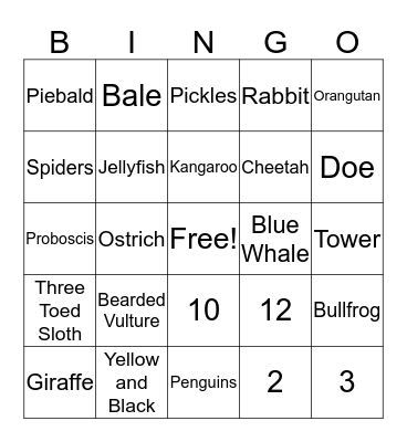 Animals Bingo Card