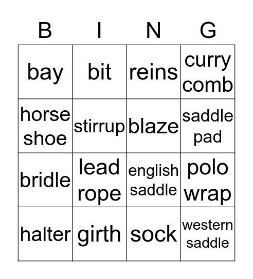 Horse Camp Bingo Card