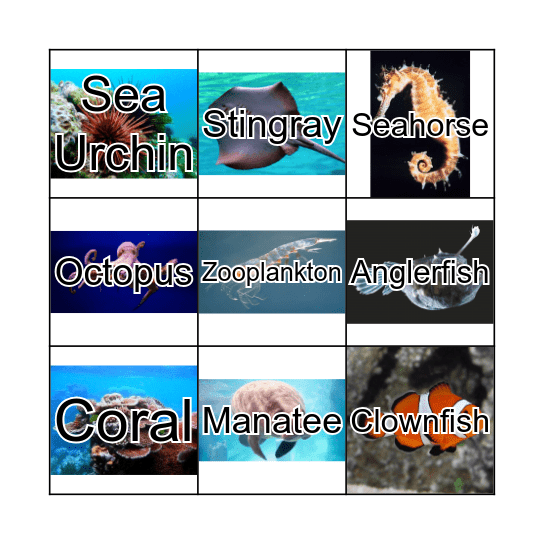 Sea Animals Bingo Card