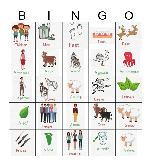 Irregular Plural Nouns Bingo Card