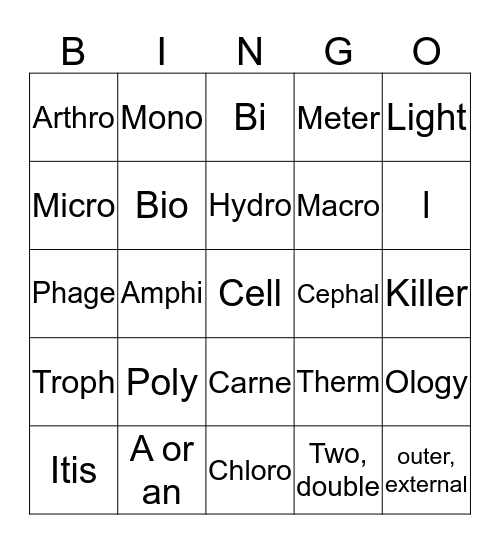 The Language of Science Bingo Card