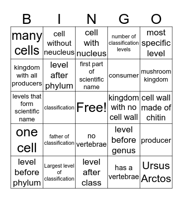 Classification  Bingo Card