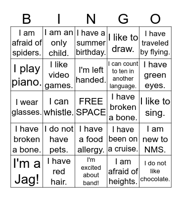 Icebreaker Bingo Card