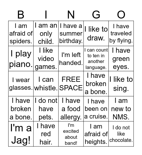 Icebreaker Bingo Card