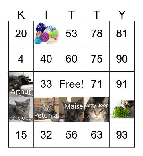 The Cat Crazy Villagers Bingo Card