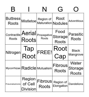 Roots of Plants Bingo Card