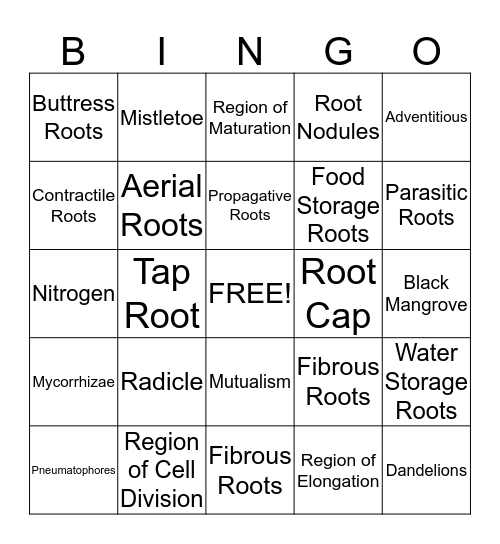 Roots of Plants Bingo Card