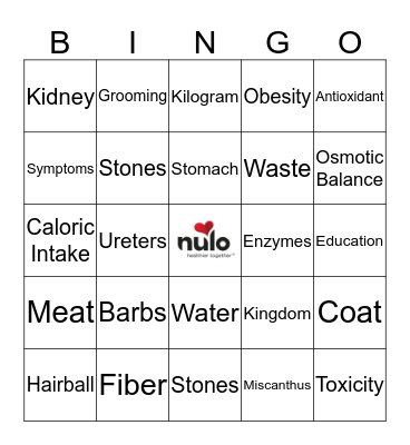 Nulo Bingo Card