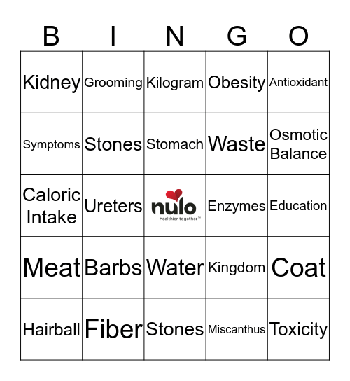 Nulo Bingo Card